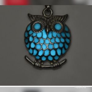 Night Glow Owl Pendant Necklace Stainless Steel